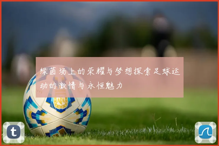 绿茵场上的荣耀与梦想探索足球运动的激情与永恒魅力