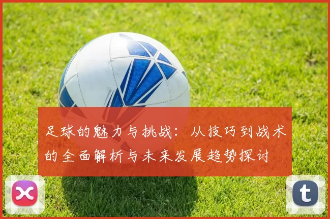 足球的魅力与挑战：从技巧到战术的全面解析与未来发展趋势探讨