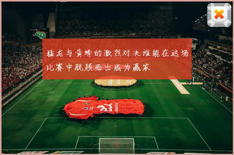 猛龙与黄蜂的激烈对决谁能在这场比赛中脱颖而出成为赢家