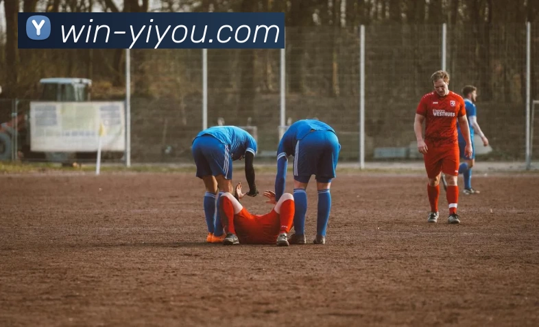 易游平台生态图